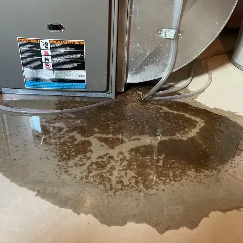 Appliance Leak Cleanup in Millsboro, DE